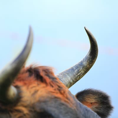 Who is benefiting from the equity rally?